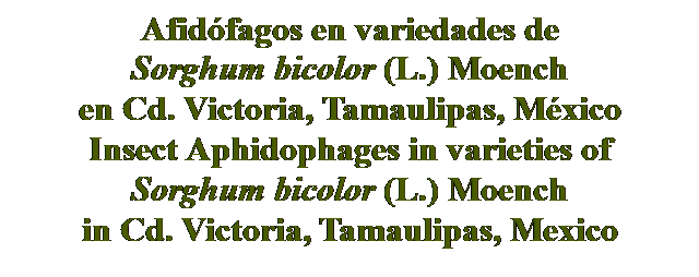 Cuadro de texto: Afidófagos en variedades de 
Sorghum bicolor (L.) Moench 
en Cd. Victoria, Tamaulipas, México
Insect Aphidophages in varieties of 
Sorghum bicolor (L.) Moench 
in Cd. Victoria, Tamaulipas, Mexico
