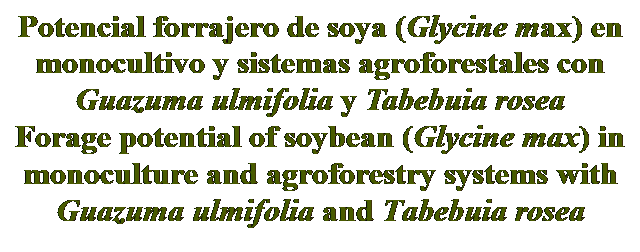 Cuadro de texto: Potencial forrajero de soya (Glycine max) en monocultivo y sistemas agroforestales con Guazuma ulmifolia y Tabebuia rosea
Forage potential of soybean (Glycine max) in monoculture and agroforestry systems with Guazuma ulmifolia and Tabebuia rosea