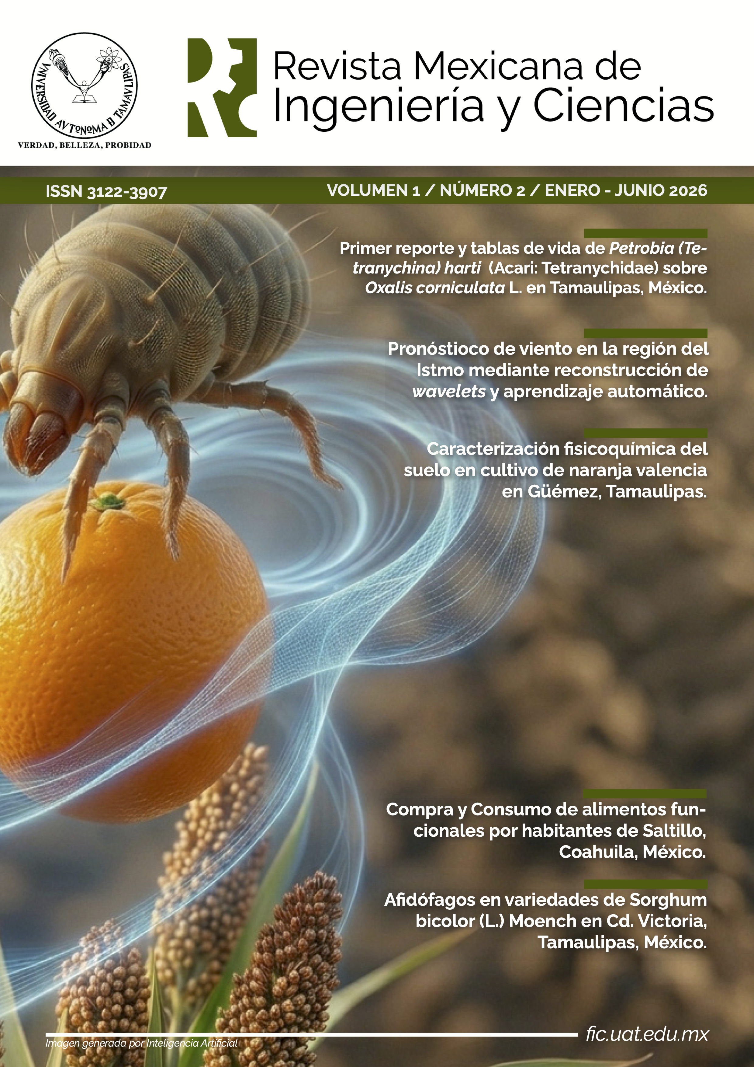 					Ver Vol. 1 No. 2: Enero-Junio 2026
				